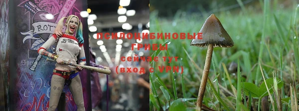 МДПВ Магас