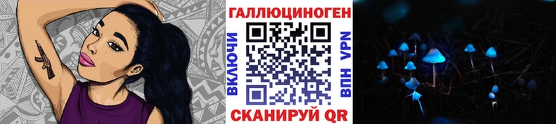 Купить  Можайск  Галлюциногенные грибы Psilocybine cubensis 